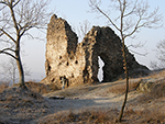 Zřícenina hradu Týřov, 2010